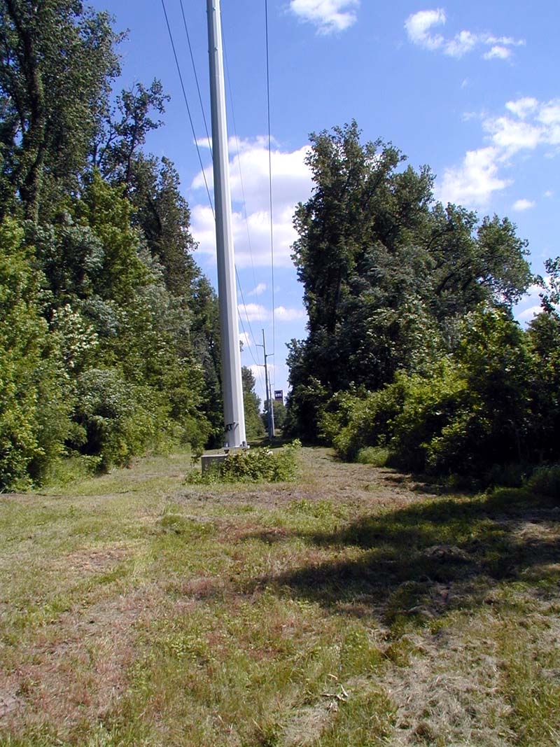 Looking south down EMF corridor from Pond 2 on a sunny day in summer.