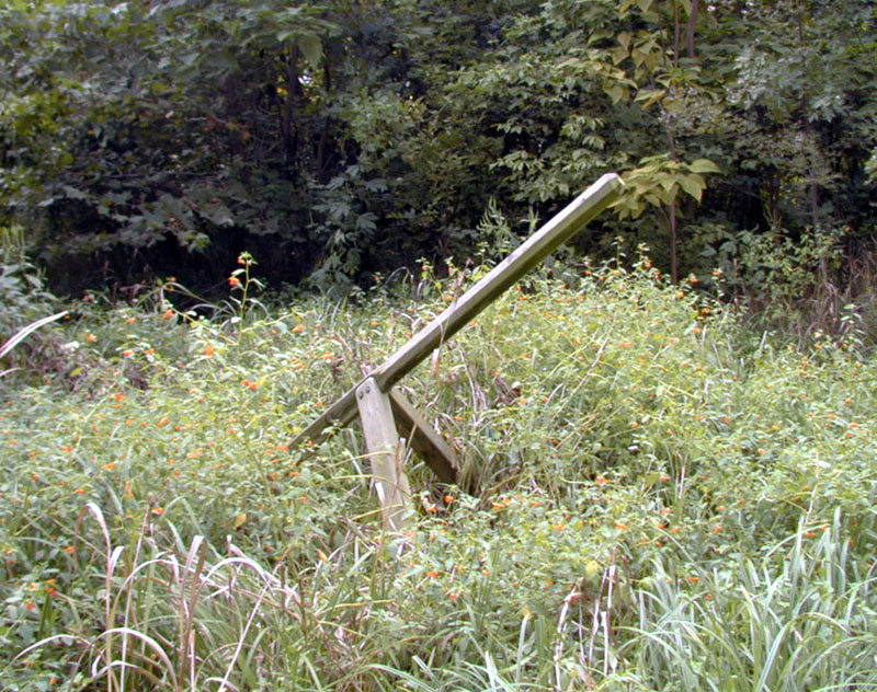 The sundial in August, engulfed in weeds and wild flowers.